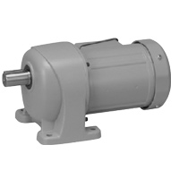 Brother G3 Gear Motor - Foot Mount