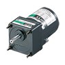 3 W (1/250 HP) Torque Motor