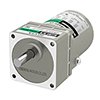 6 W AC Gear Motors