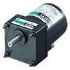 6 W (1/125 HP) Torque Motor