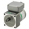 Single-Phase Gear Motors - KII Series