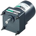 20 W (1/38 HP) Torque Motor