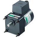 40 W (1/19 HP) AC Gear Motors