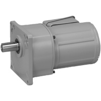 Brother G3 Gear Motor - Flange Mount