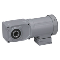 Right-Angle Hollow Shaft Gear Motor