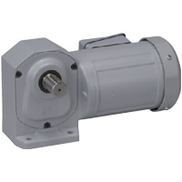 Brother H2 Gear Motor