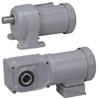 Brother Gearmotors Single-Phase AC Gear Motors