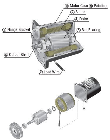 Induction Motor Structure