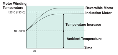 Temperature Rise and Life of an AC Motor