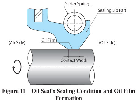 Oil Seal Sealing Formation and Oil Film Formation