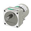 15 W Reversible Gear Motors