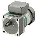 60 W (1/12 HP) Reversible Gear Motors