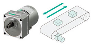 Reversible Motor