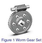 Worm Gear Set