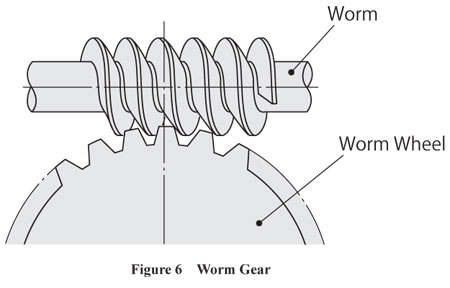 Worm Gear