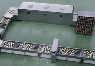 Case Study - Watertight, Dust-resistant Connection Cable of Brushless Motors for Improved Maintenance in Food Conveyors