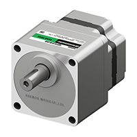 Parallel Shaft Gear Motor