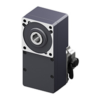 Hollow Shaft Flat Gear Motor