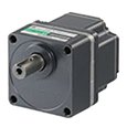 60 W Brushless DC Motors