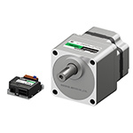 60 W Brushless DC Motors