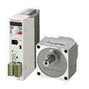 60 W Brushless DC Motors