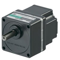 Parallel Shaft Gear Motor