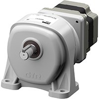 Foot Mount Gear Motor