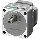 Parallel Shaft Gear Motor