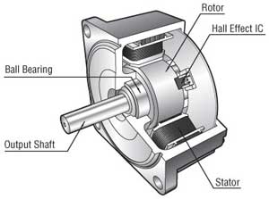 Brushless DC Motor Structure