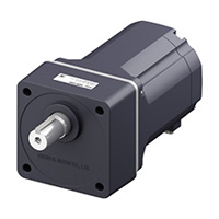 Variable Speed Motors