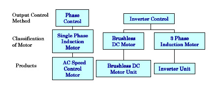 Basic Motor Theory (11)