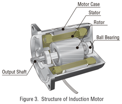 Induction Motor Structure