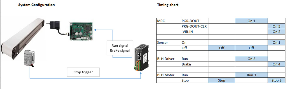 Sensor and Brushless DC Motor