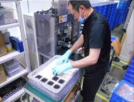 Workpiece Feeding