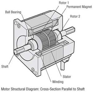 Stepper Motor Stepper-motor-structural-diagram