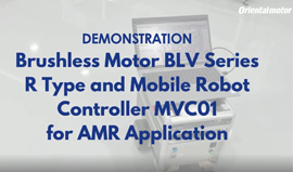 BLH Series BLDC Motor System Overview