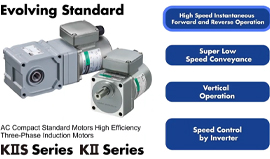 KIIS Series KII Series Standard AC Motors