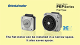 PKP Series Stepper Motor Flat Type