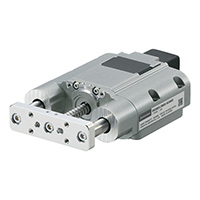 Rod Type with Guide